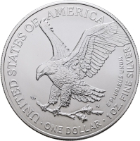 1 Unze - USA Eagle aktueller Jahrgang