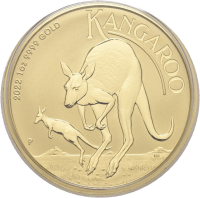 1 Unze - Australien Känguru aktueller Jahrgang