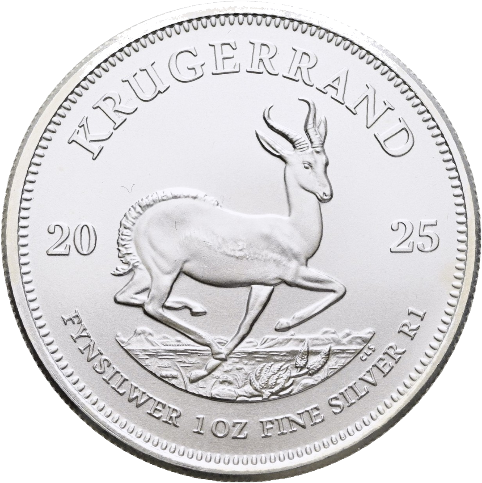 1 Unze Krügerrand Silber 2025