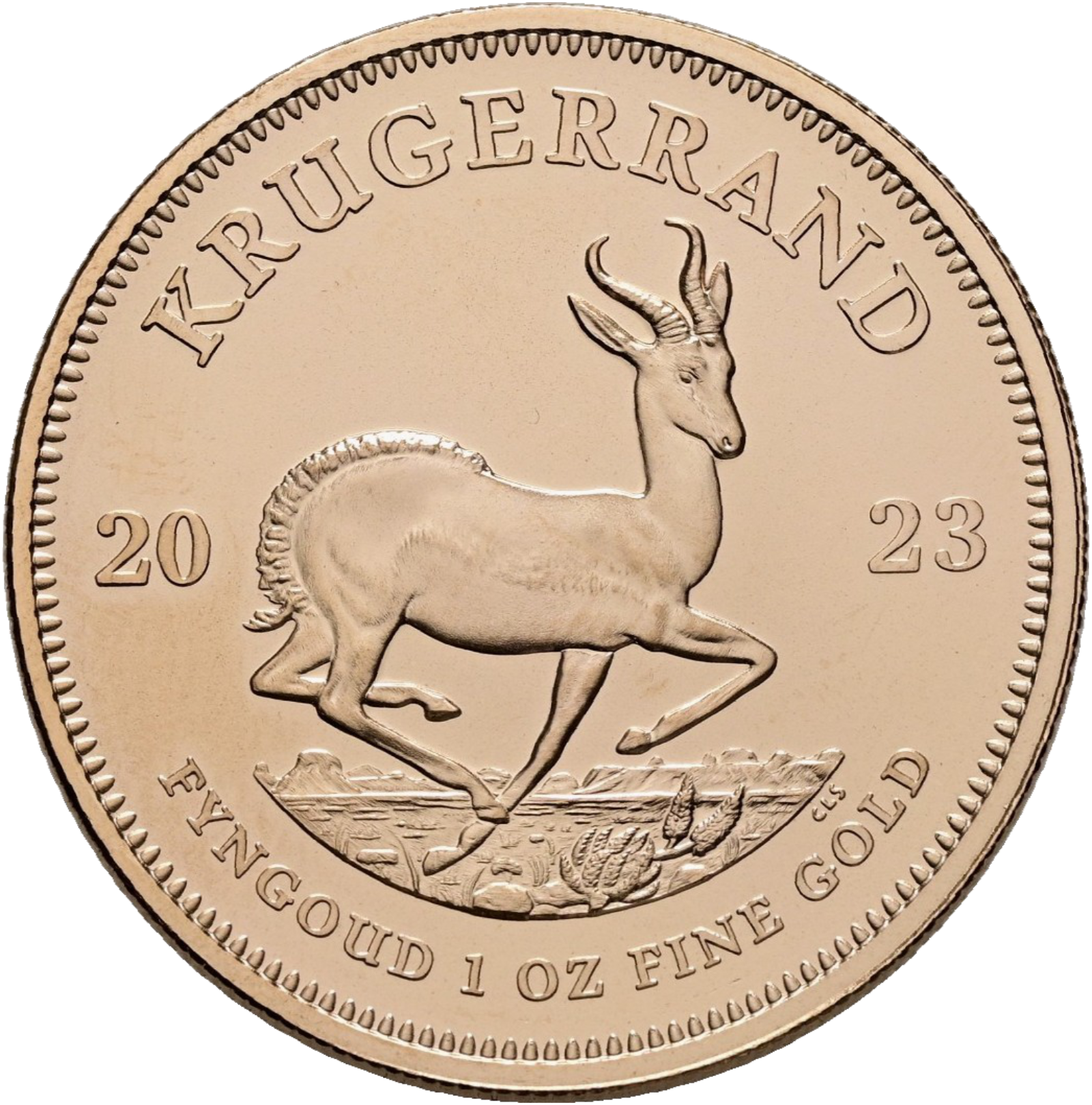 TESTBETRIEB - 1 Unze Krügerrand Gold diverse Jahrgänge